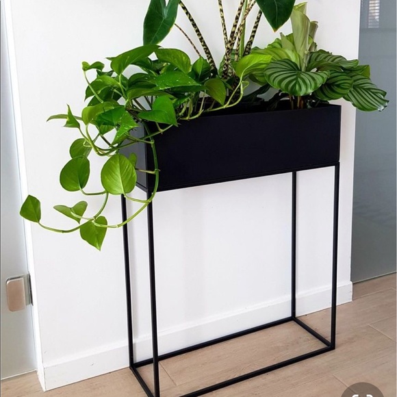 Meet your Posher, Shabnum - Picture 1 of 1